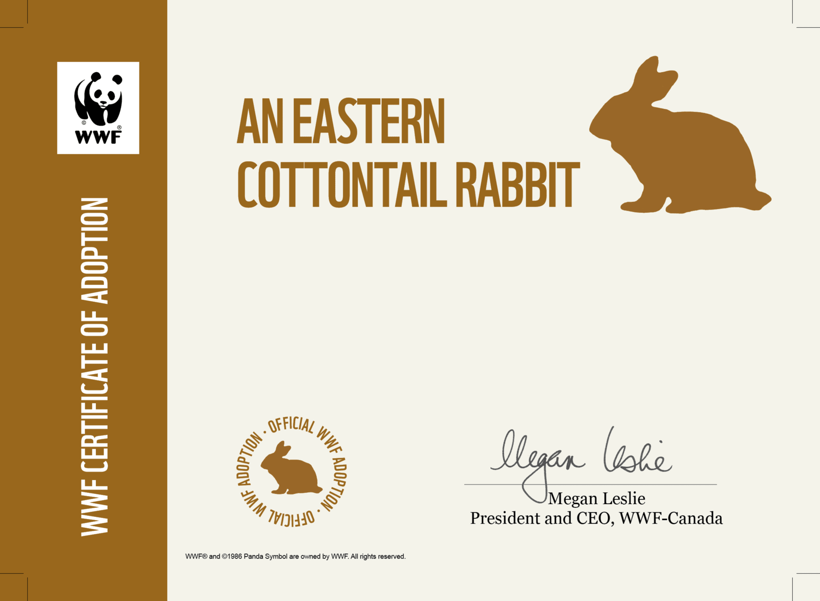 Certificate preview