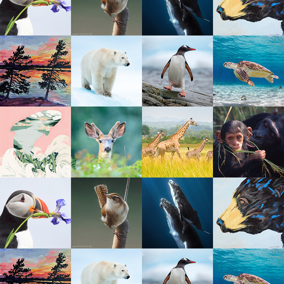Greeting card bundle (12 pack) - WWF-Canada