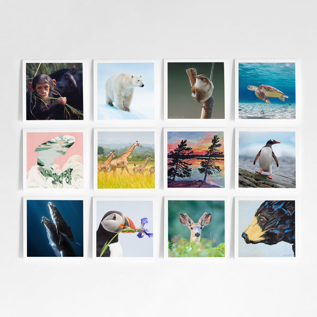 Greeting card bundle (12 pack) - WWF-Canada