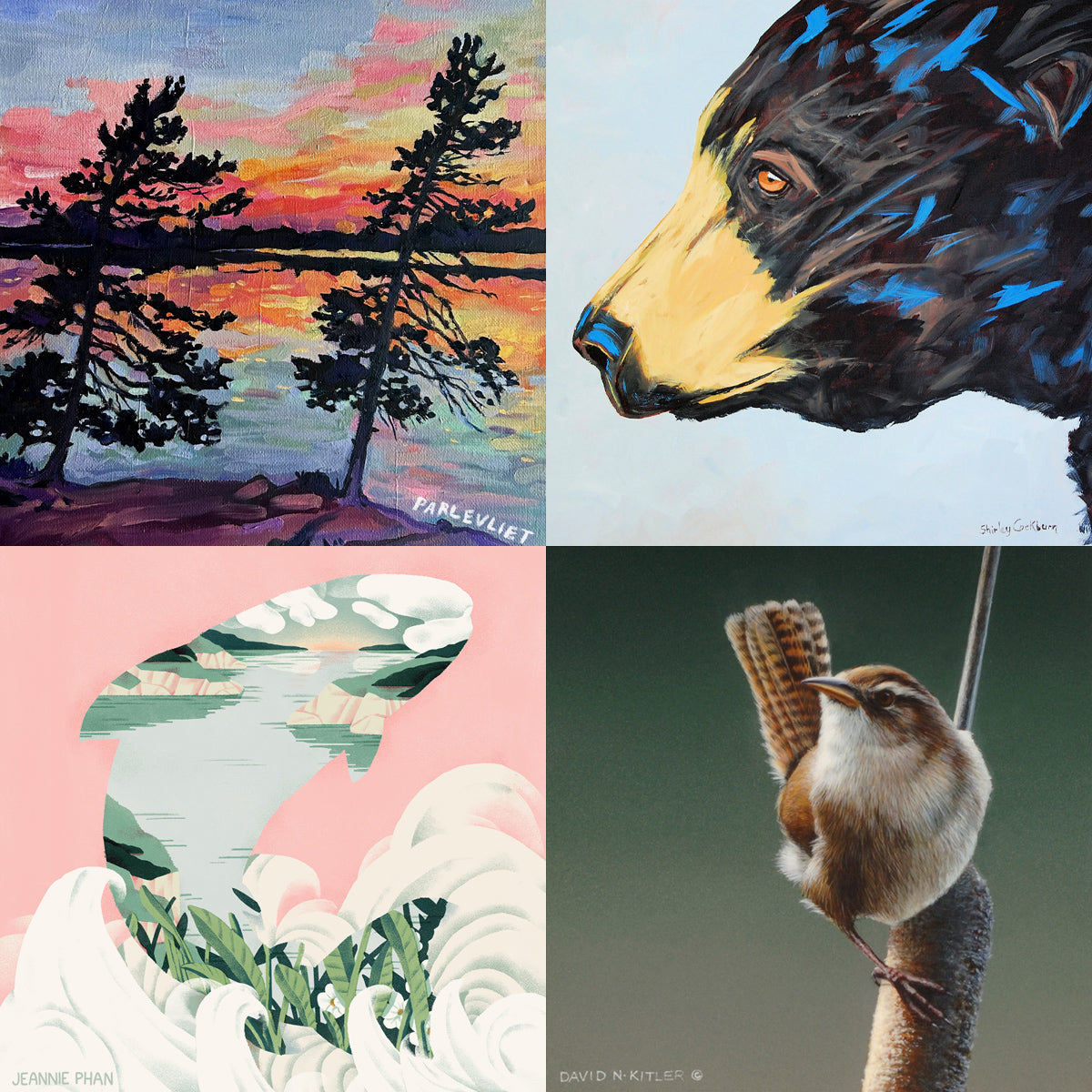 Artist series greeting card bundle (4 pack) - WWF-Canada