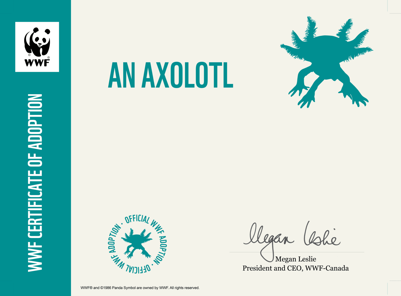 Certificate preview