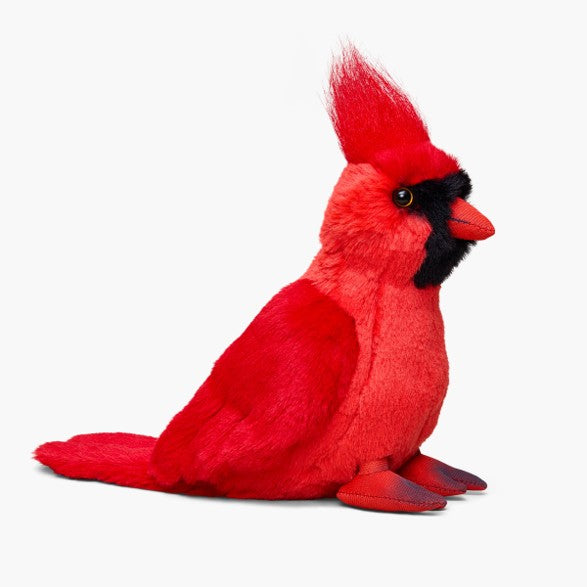 Cardinal - WWF-Canada