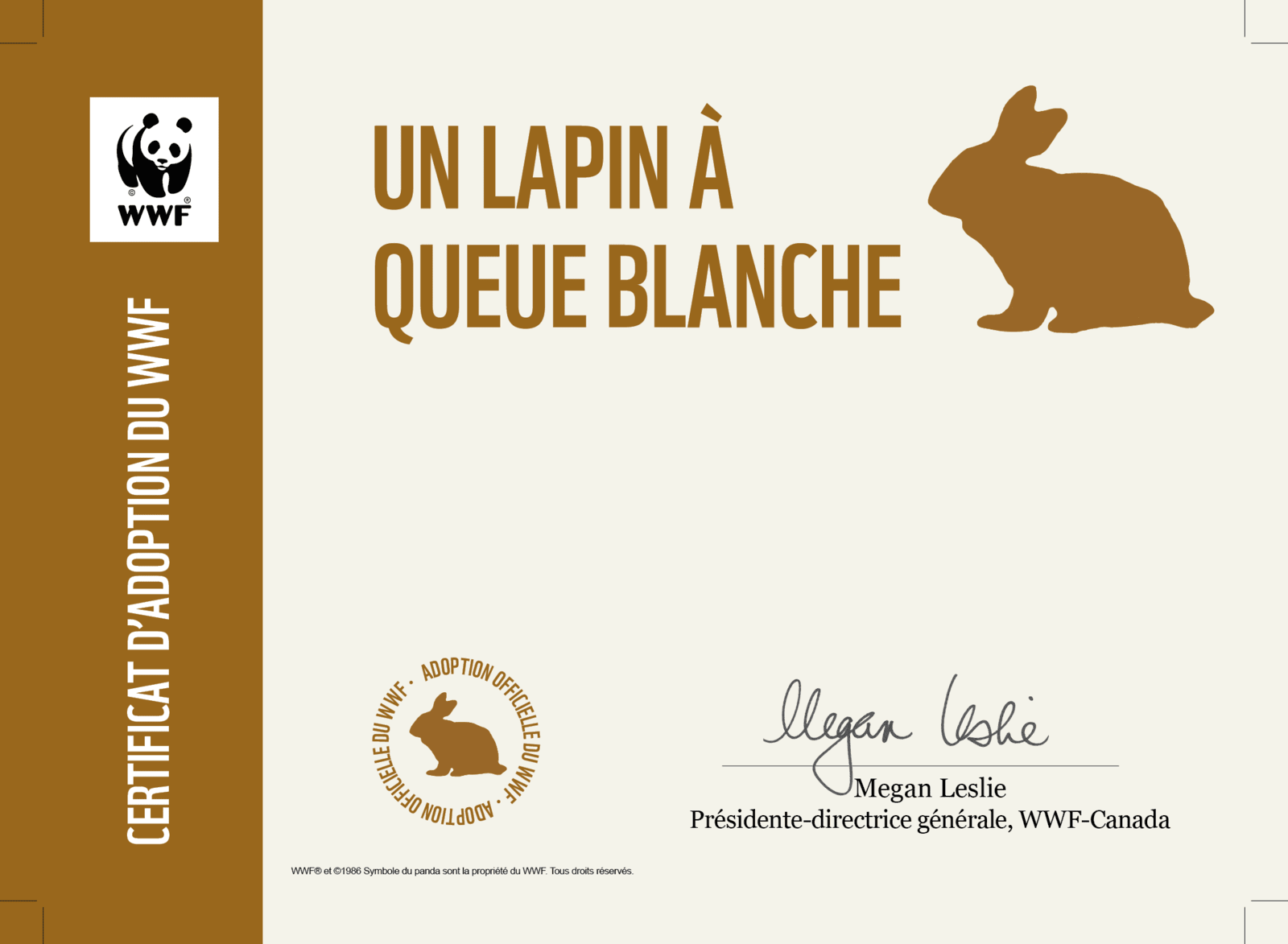 Certificate preview