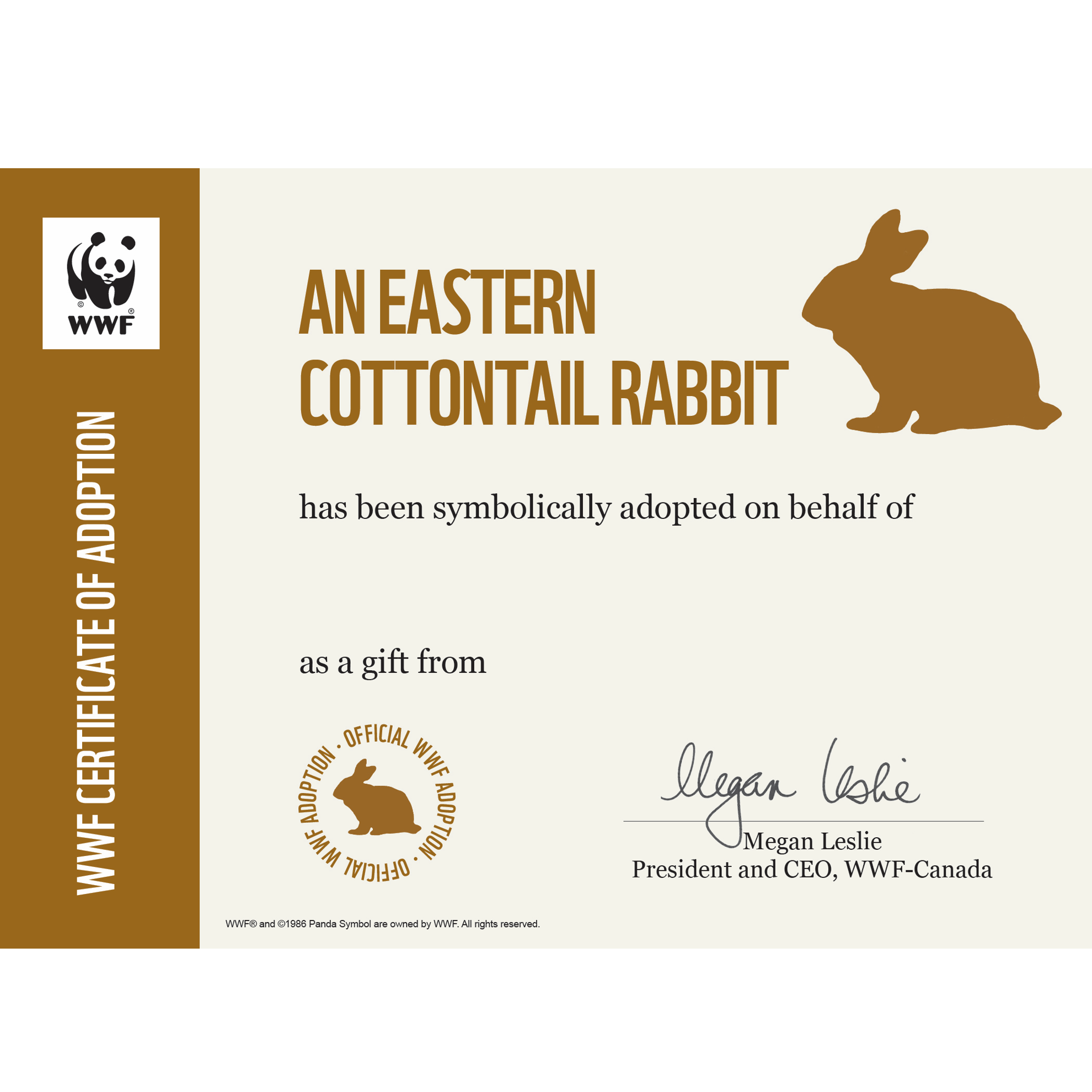 Eastern cottontail rabbit - WWF-Canada