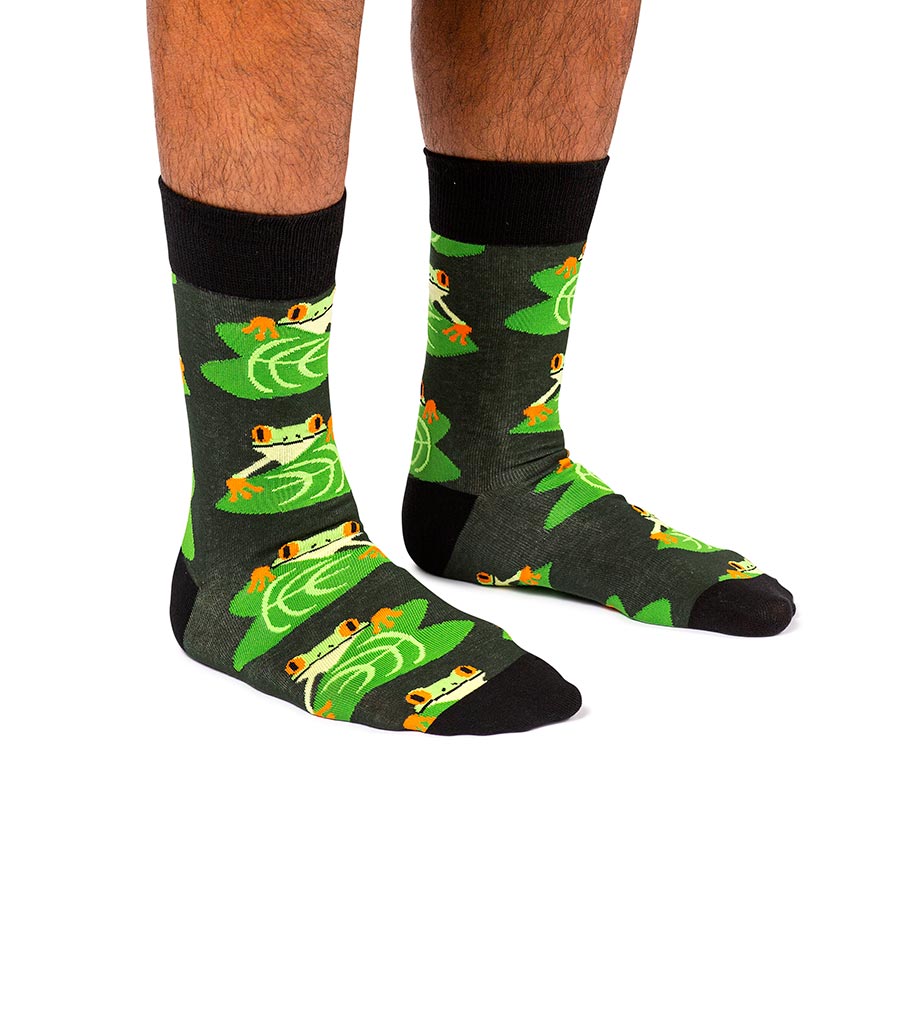 Frogs and lily pads | Grenouilles et nénufars