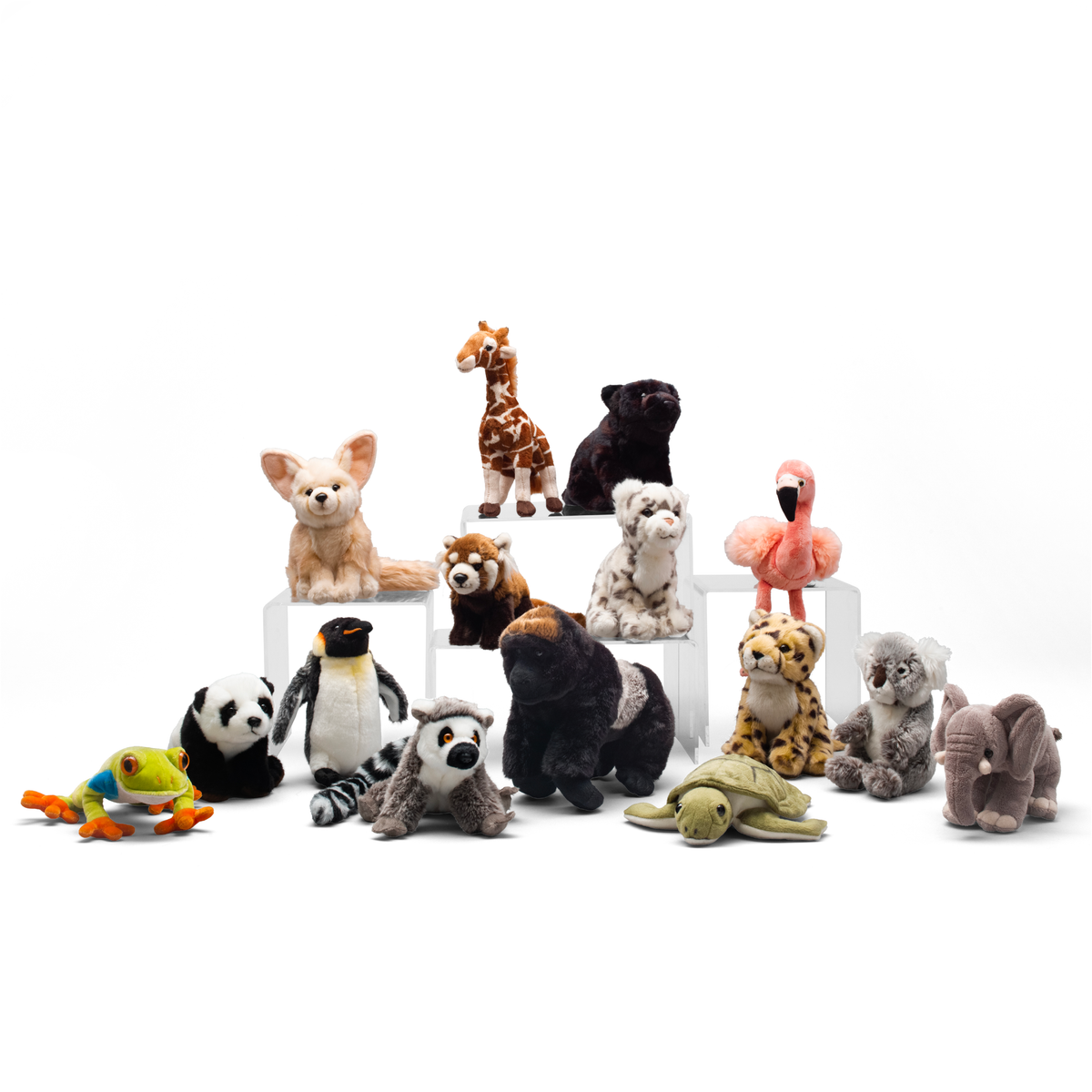 International bundle - WWF-Canada