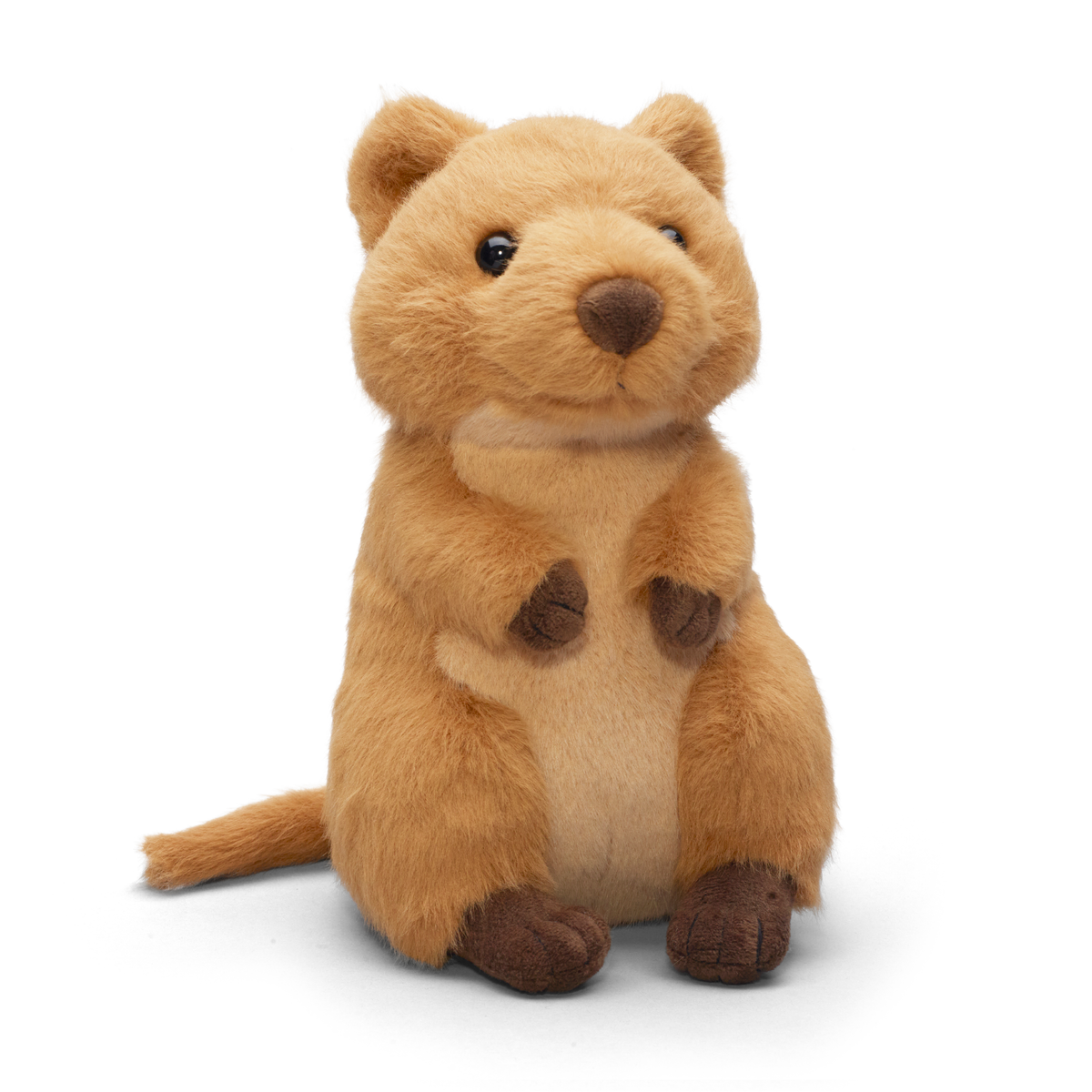 Quokka - WWF-Canada