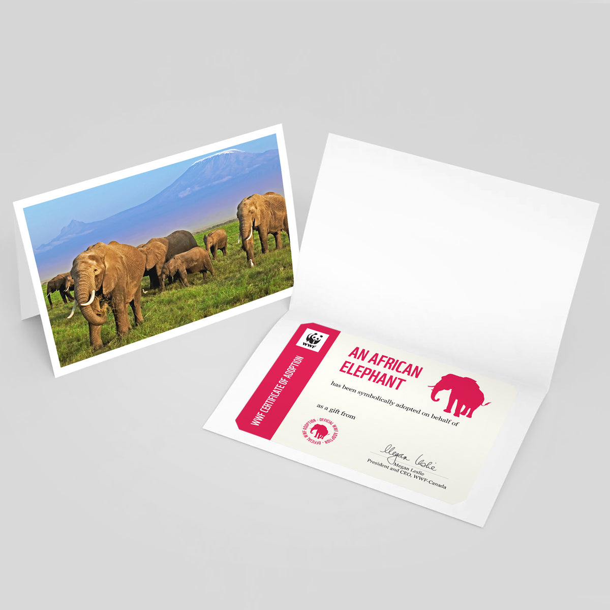 African elephant adoption card - WWF-Canada
