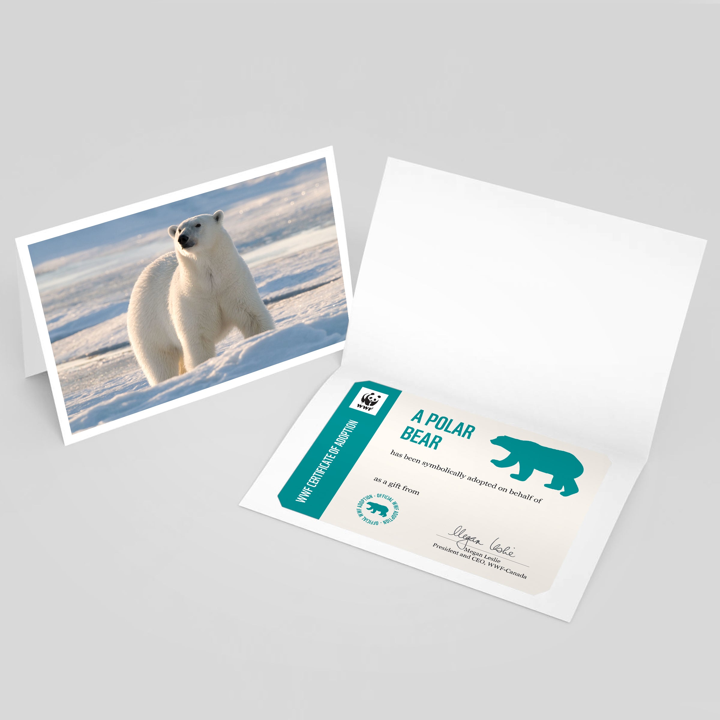 Polar bear adoption card - WWF-Canada