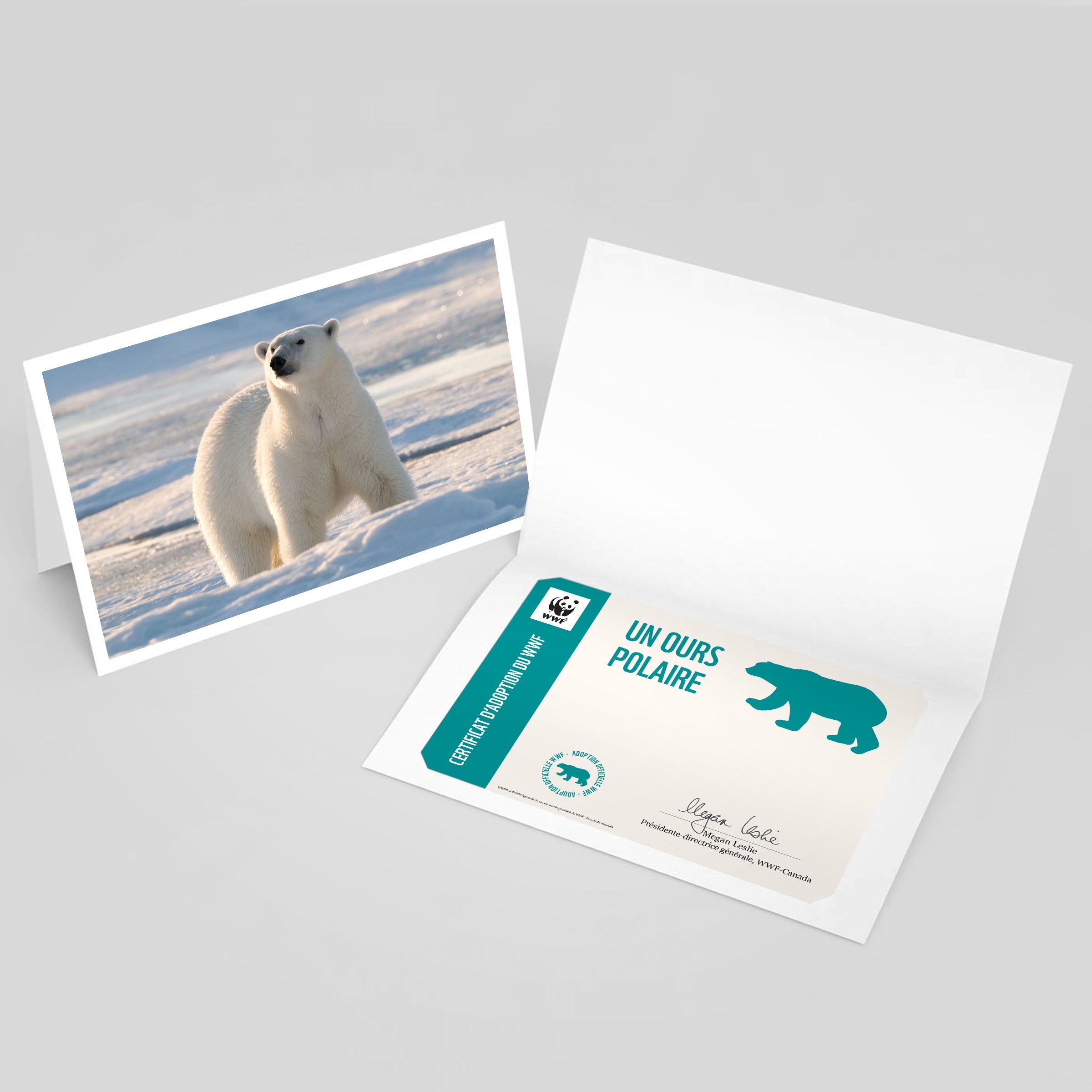 Carte ours polaire - WWF-Canada