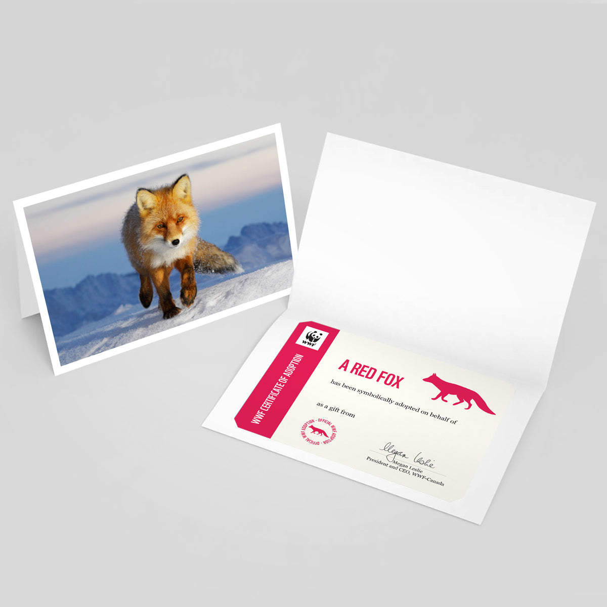 Red fox adoption card - WWF-Canada