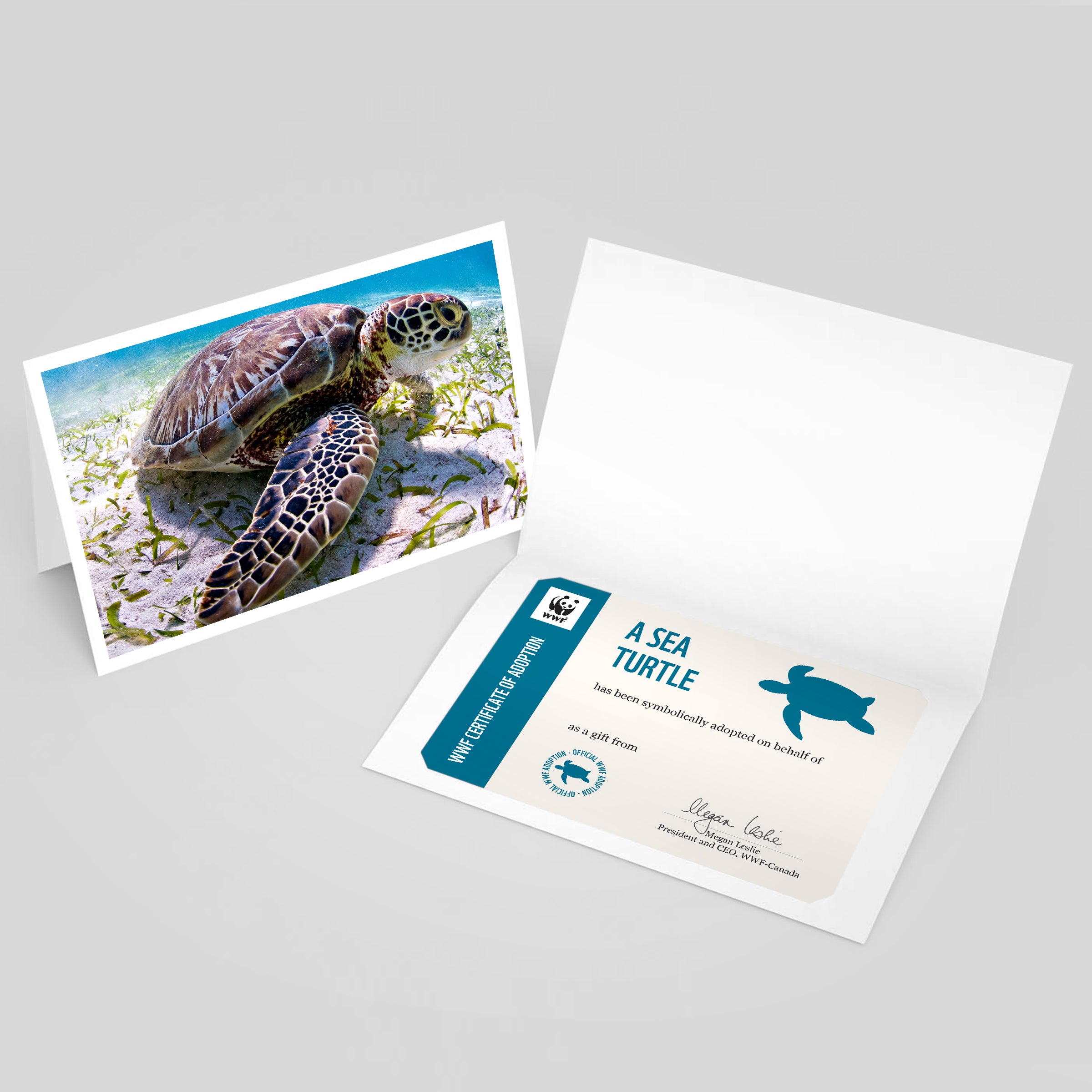 Sea turtle adoption card - WWF-Canada