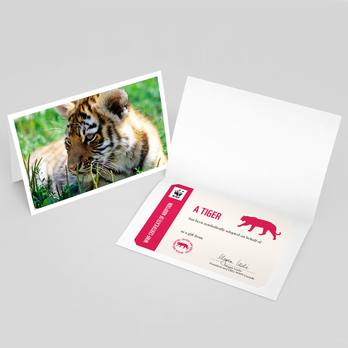 Tiger adoption card - WWF-Canada