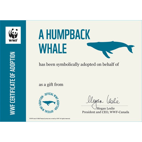 Humpback whale adoption card - WWF-Canada