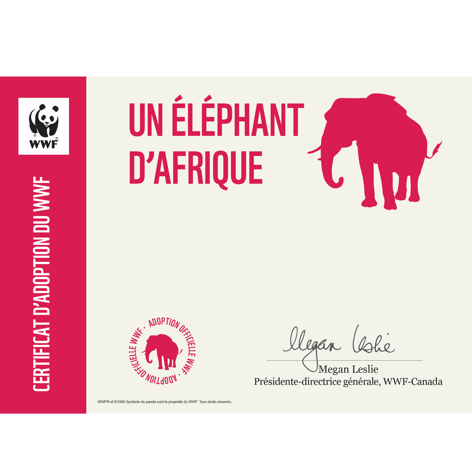 Éléphant d’Afrique - WWF-Canada