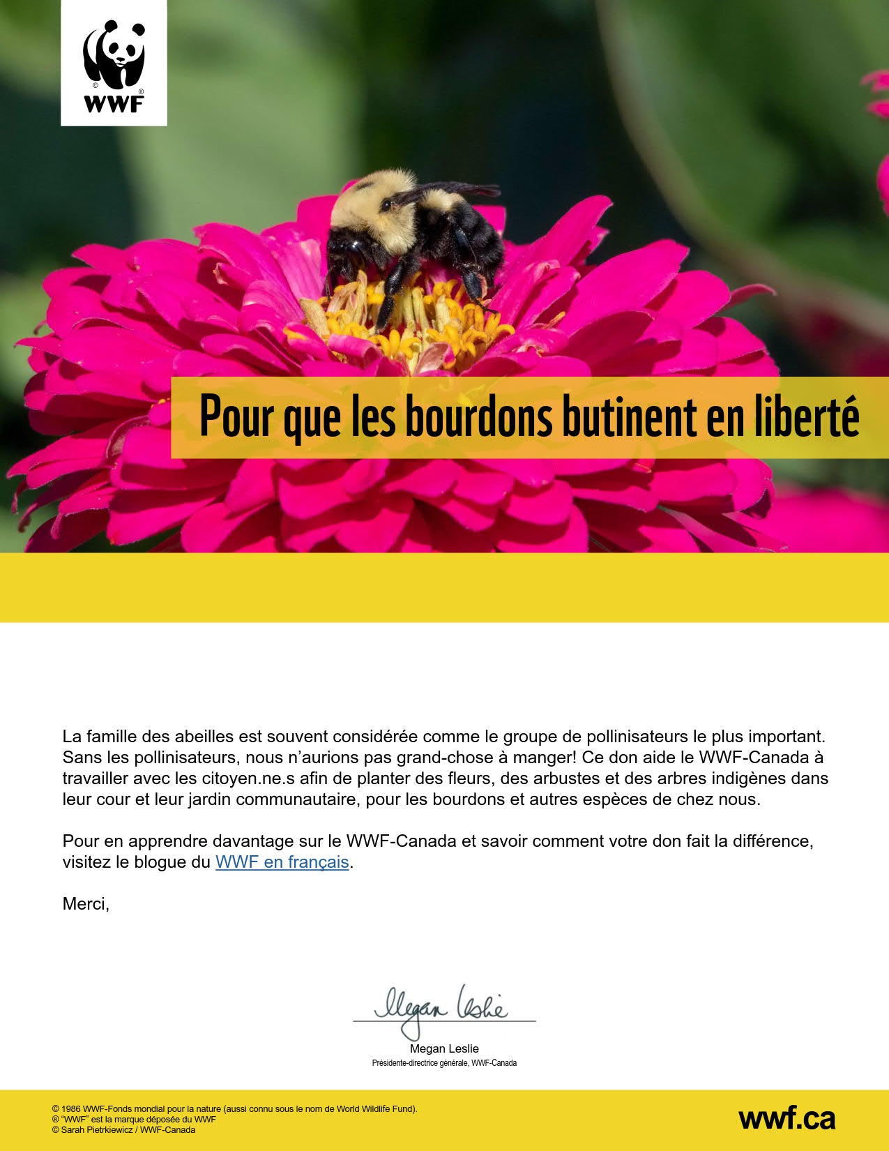 offrons des fleurs aux bourdons - WWF-Canada