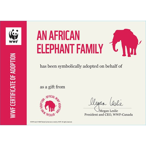 African elephant family - WWF-Canada