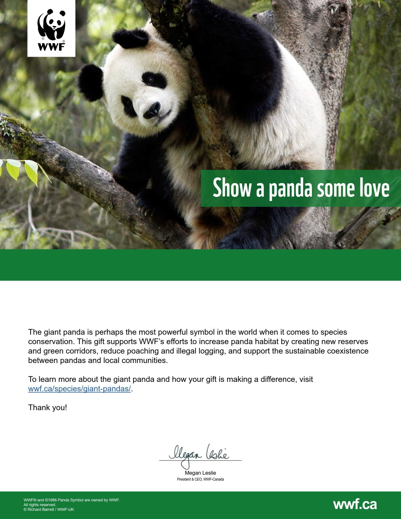 show a panda some love - WWF-Canada