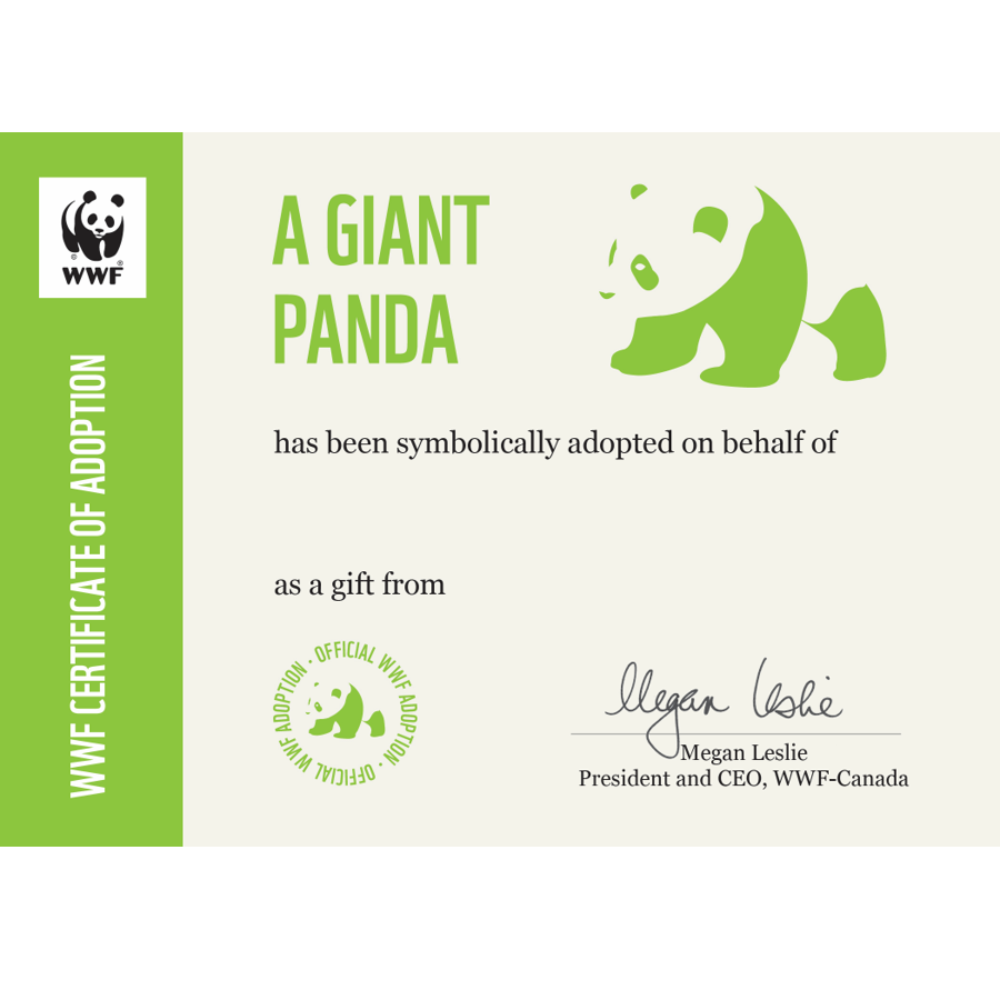 Giant panda adoption card - WWF-Canada