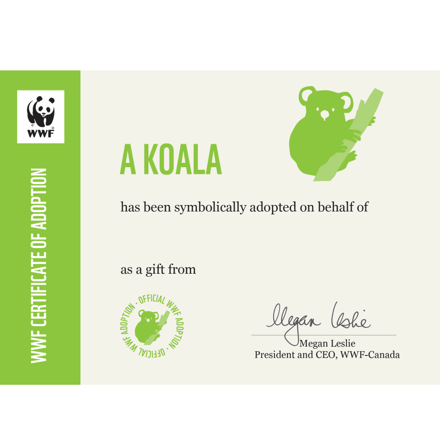 Koala - WWF-Canada