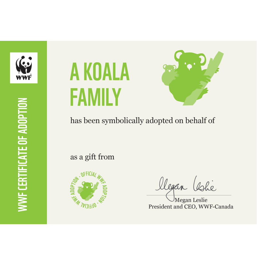 Koala family - WWF-Canada