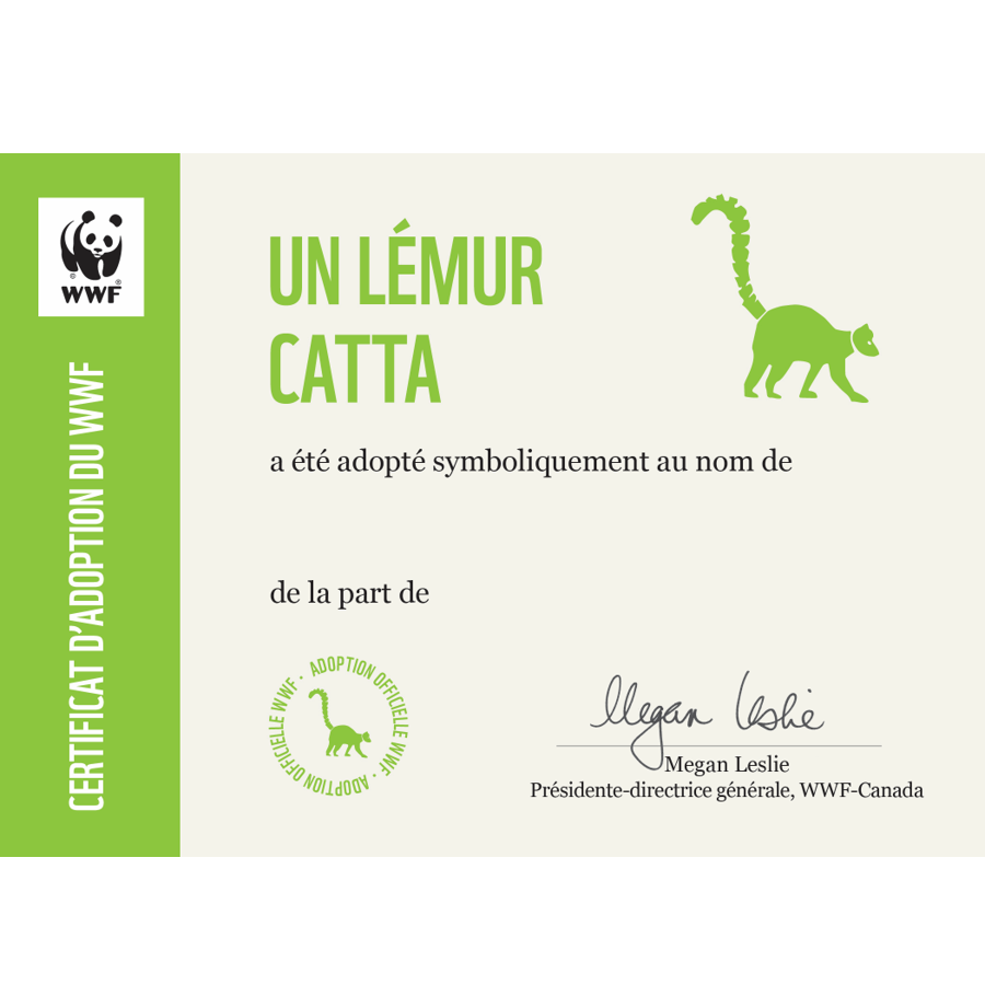 Carte lémur catta - WWF-Canada