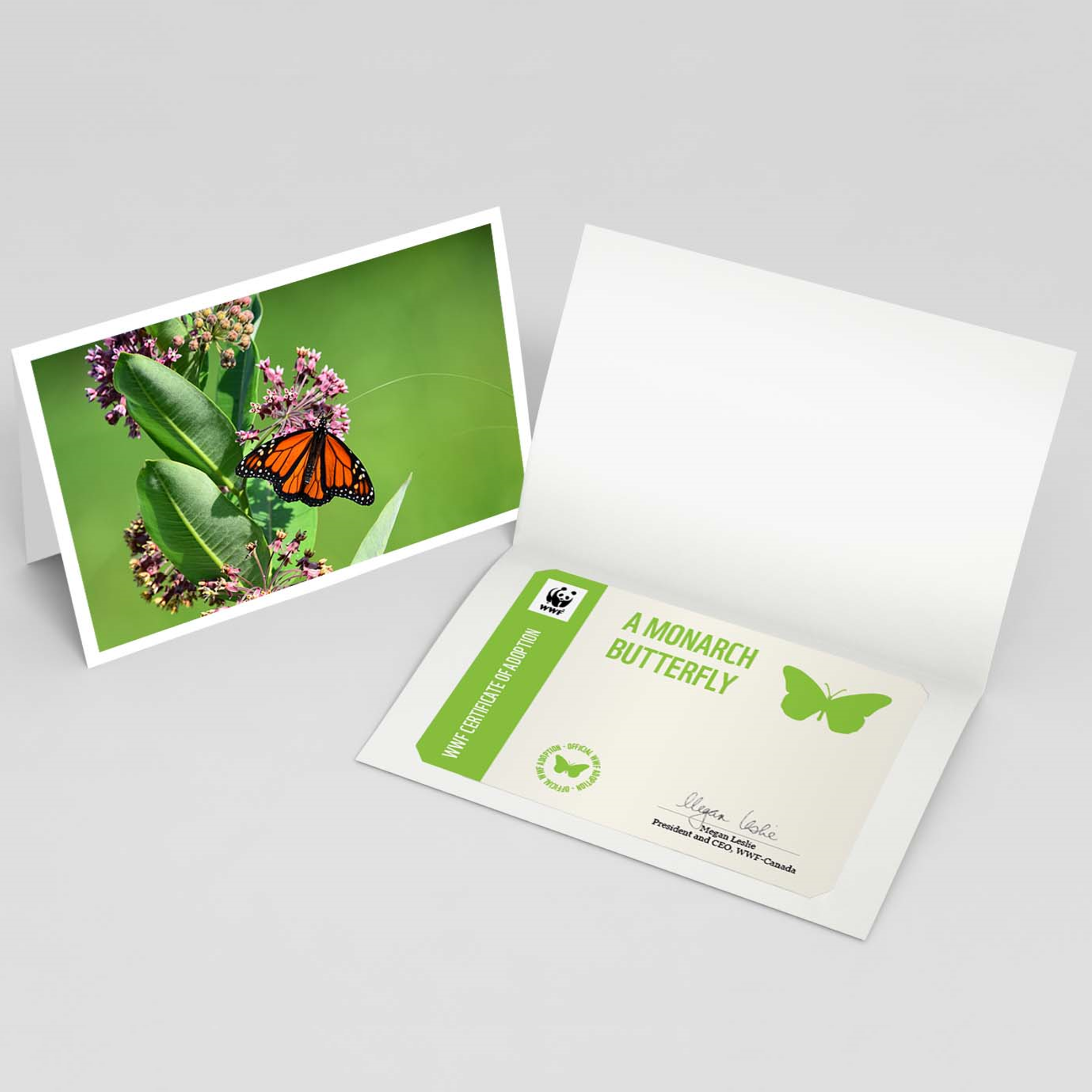 Monarch butterfly adoption card - WWF-Canada