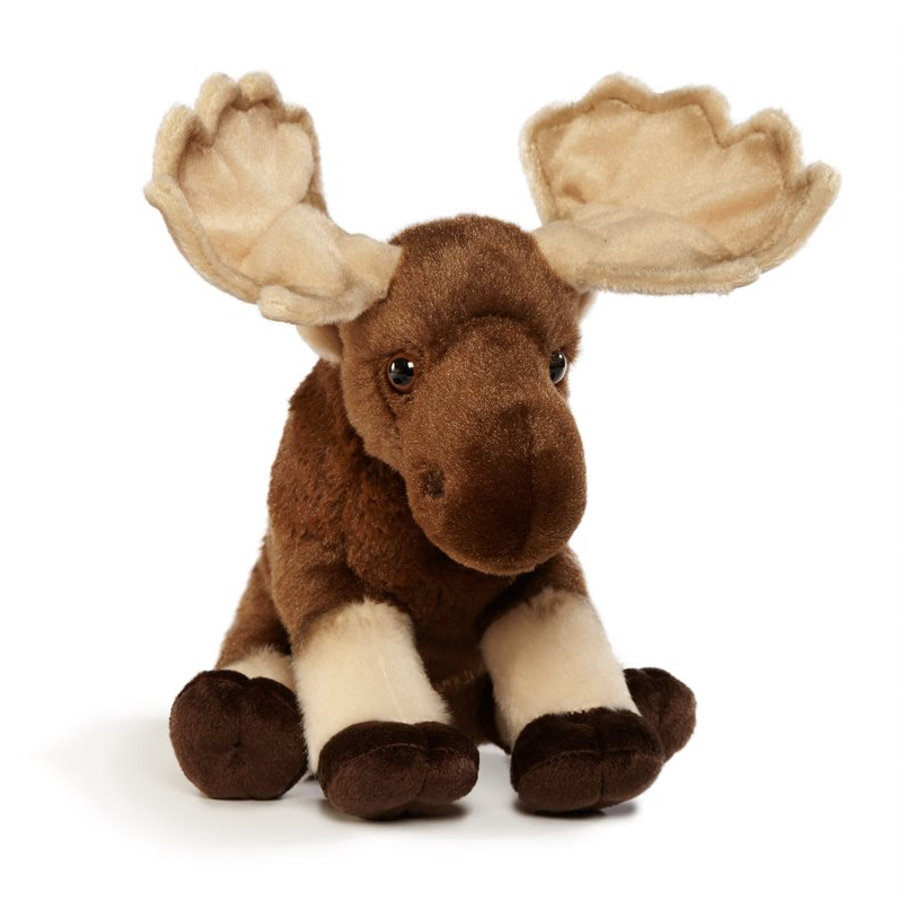 Moose - WWF-Canada