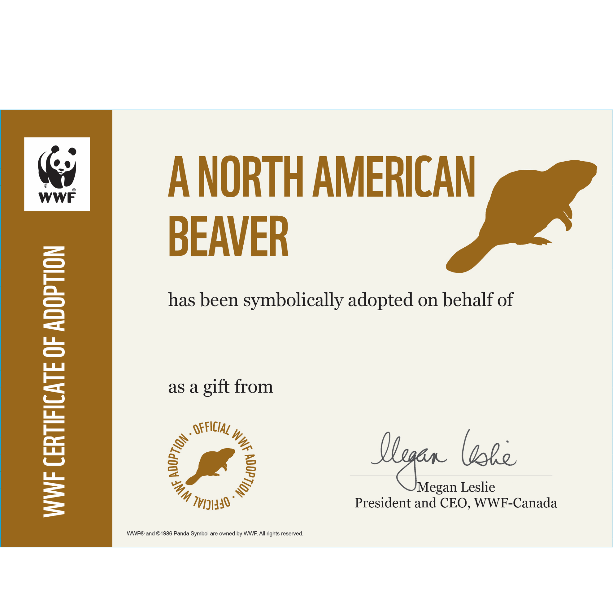 North American beaver - WWF-Canada