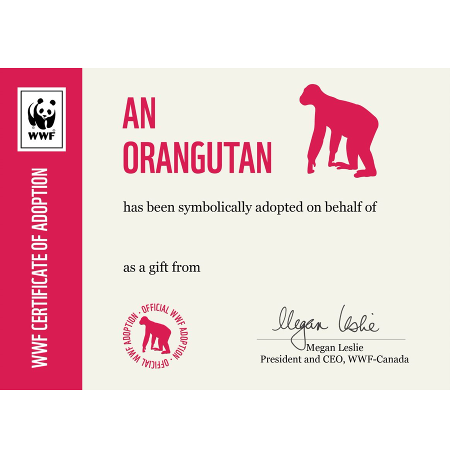 Orangutan adoption card - WWF-Canada