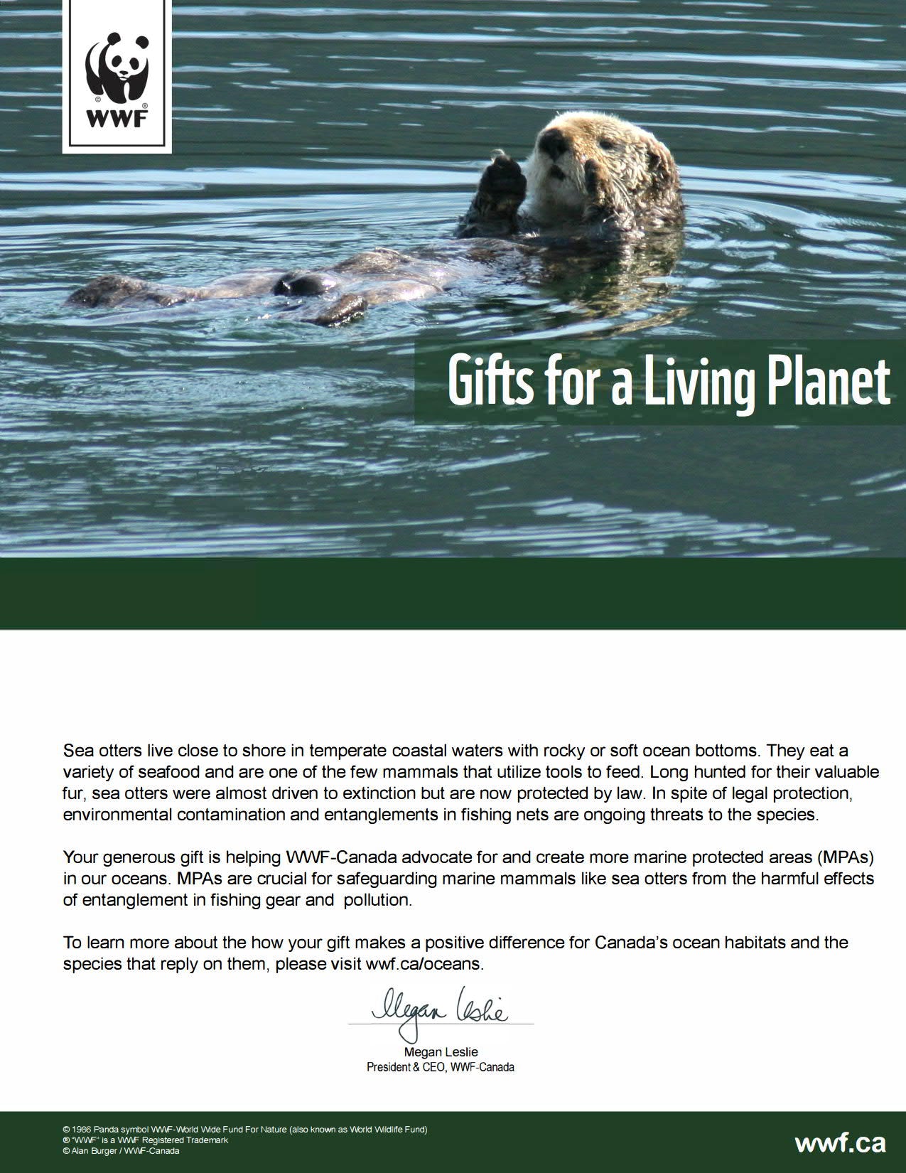 protect the sea otter’s home - WWF-Canada