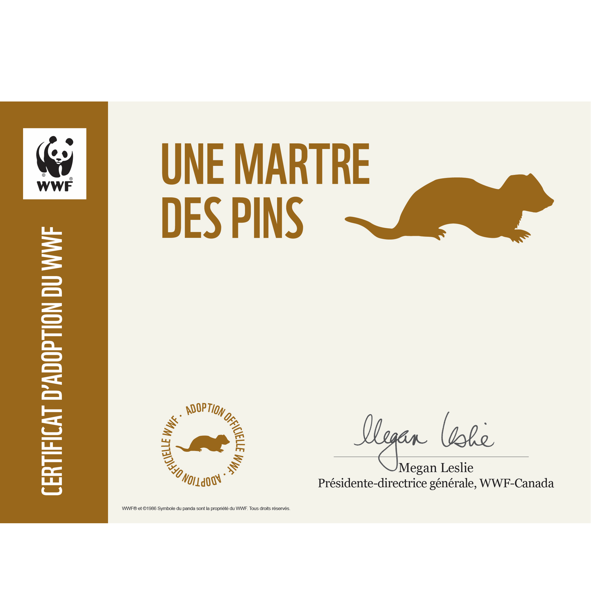 Martre des pins - WWF-Canada