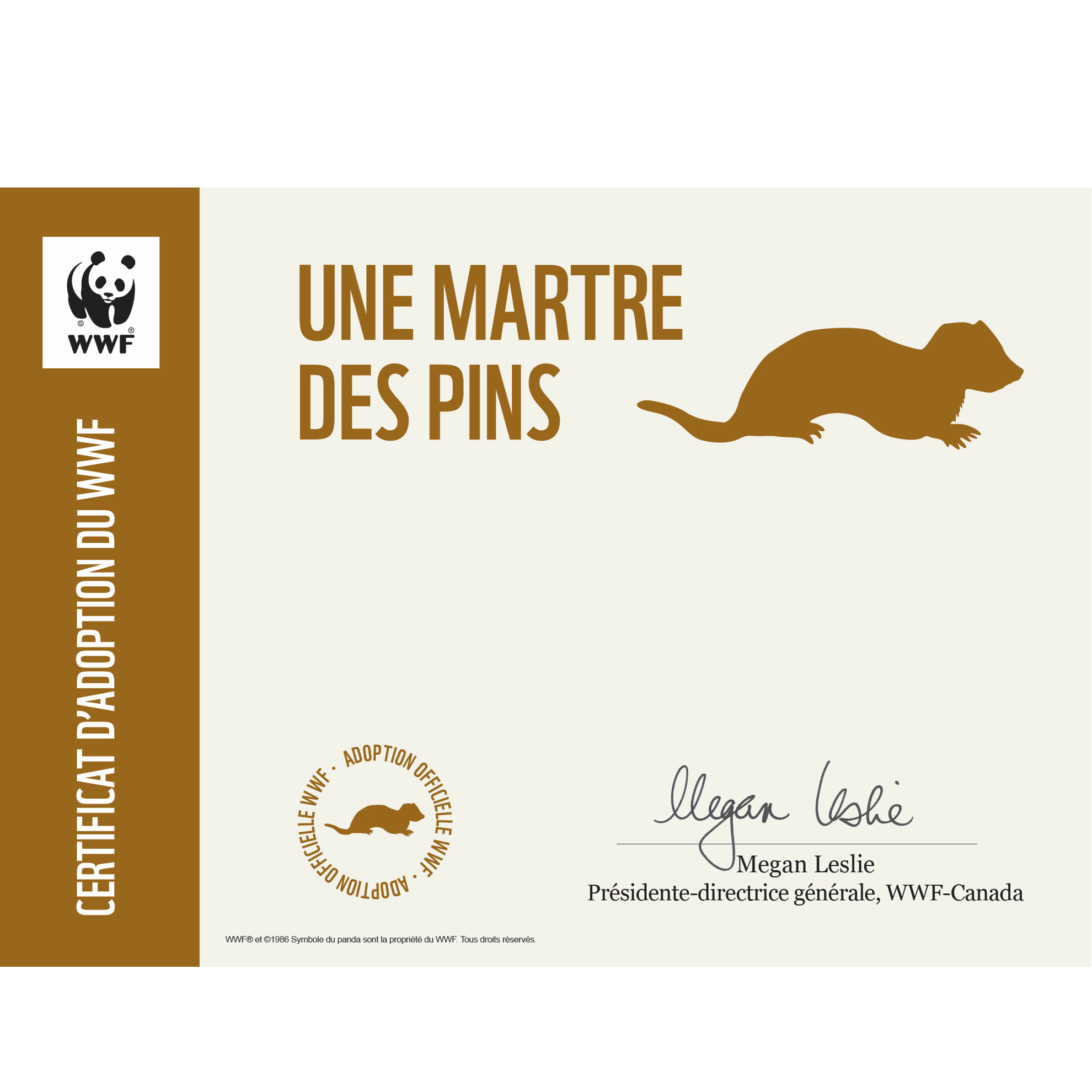 Certificate preview