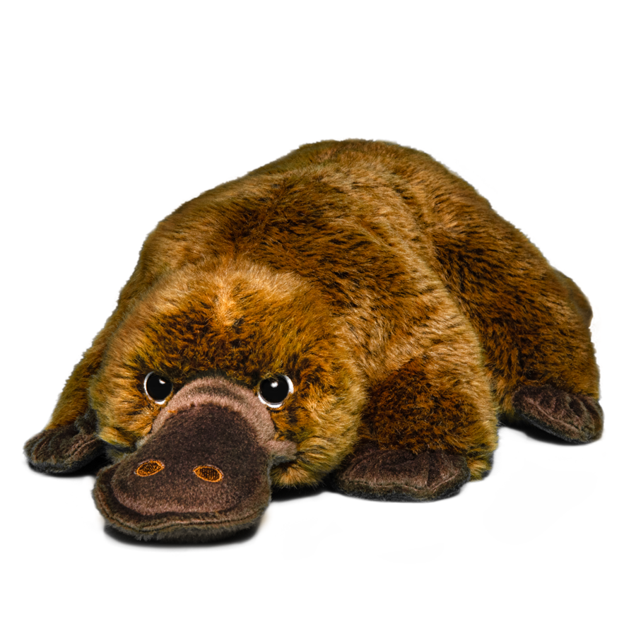 Platypus - WWF-Canada