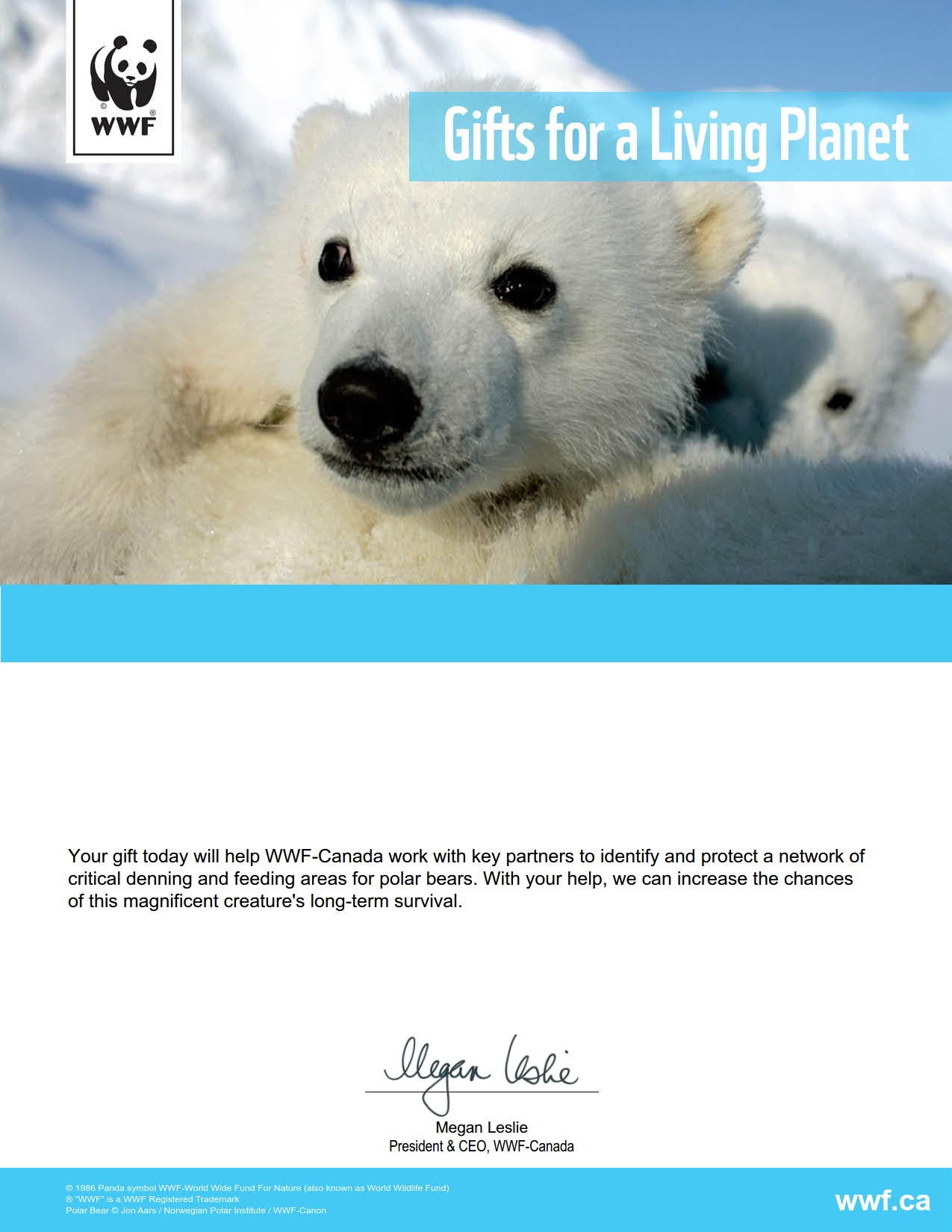 protect polar bear dens - WWF-Canada