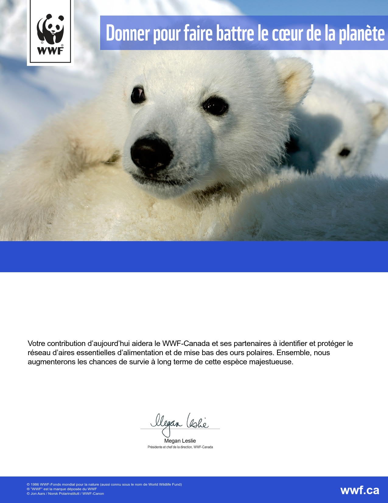 préservons les prochaines générations d’ours polaires - WWF-Canada