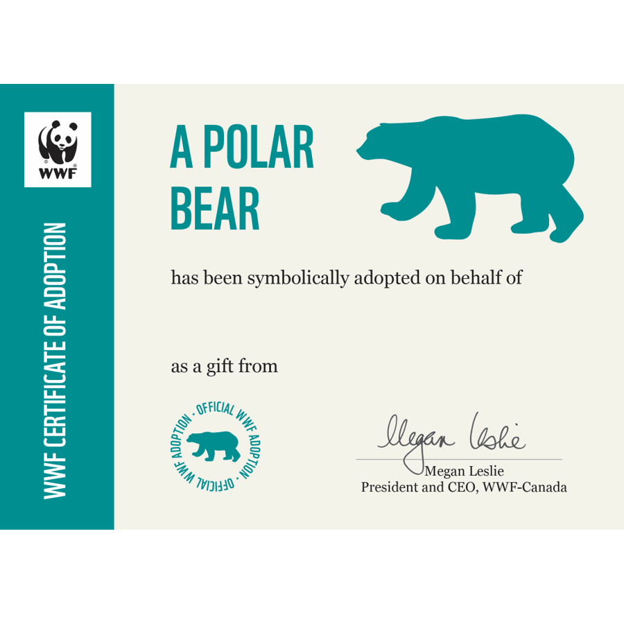 Polar bear - WWF-Canada