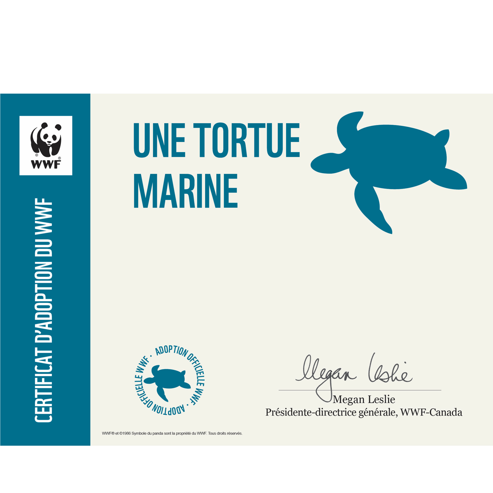 Tortue marine - WWF-Canada