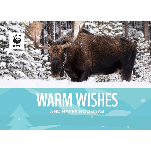 Wildlife holiday greeting cards - WWF-Canada