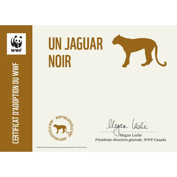 Jaguar noir - WWF-Canada