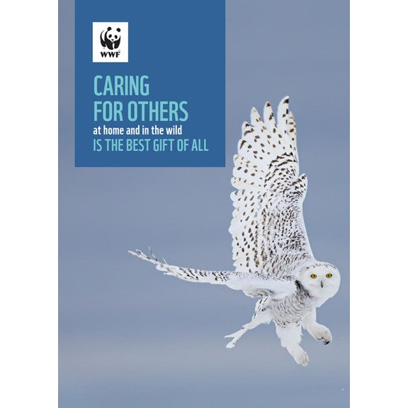 Wildlife holiday greeting cards - WWF-Canada