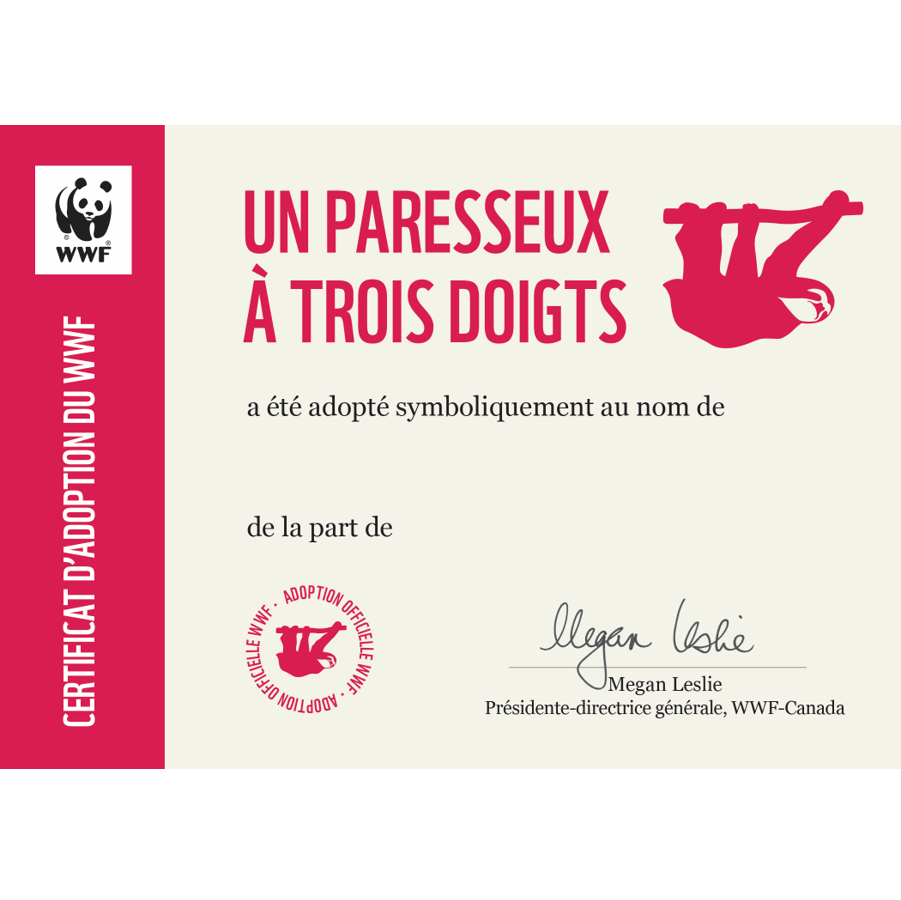 Paresseux à trois doigts - WWF-Canada