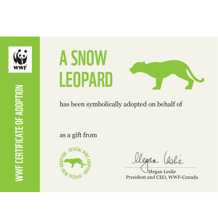 Snow leopard - WWF-Canada