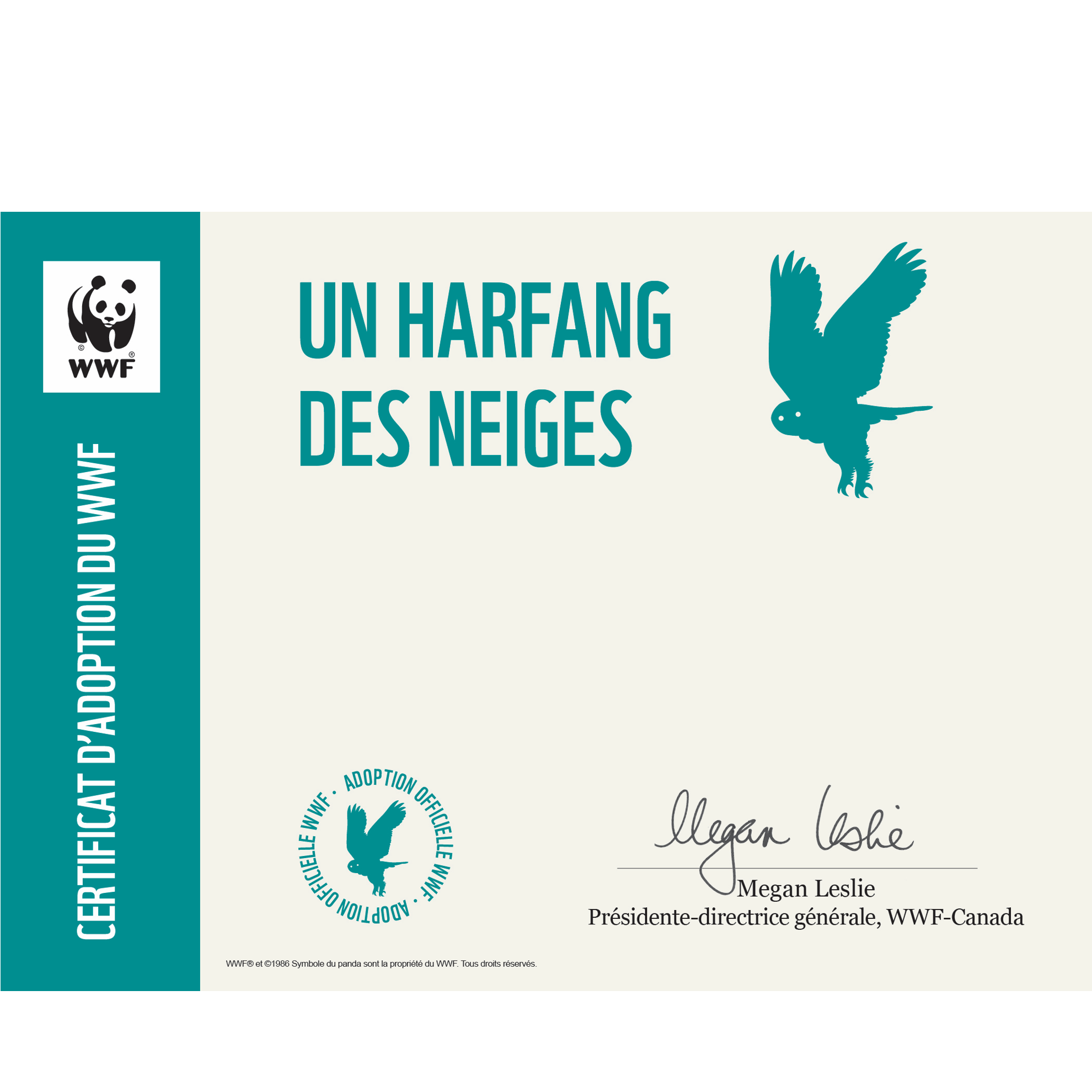 Harfang des neiges - WWF-Canada