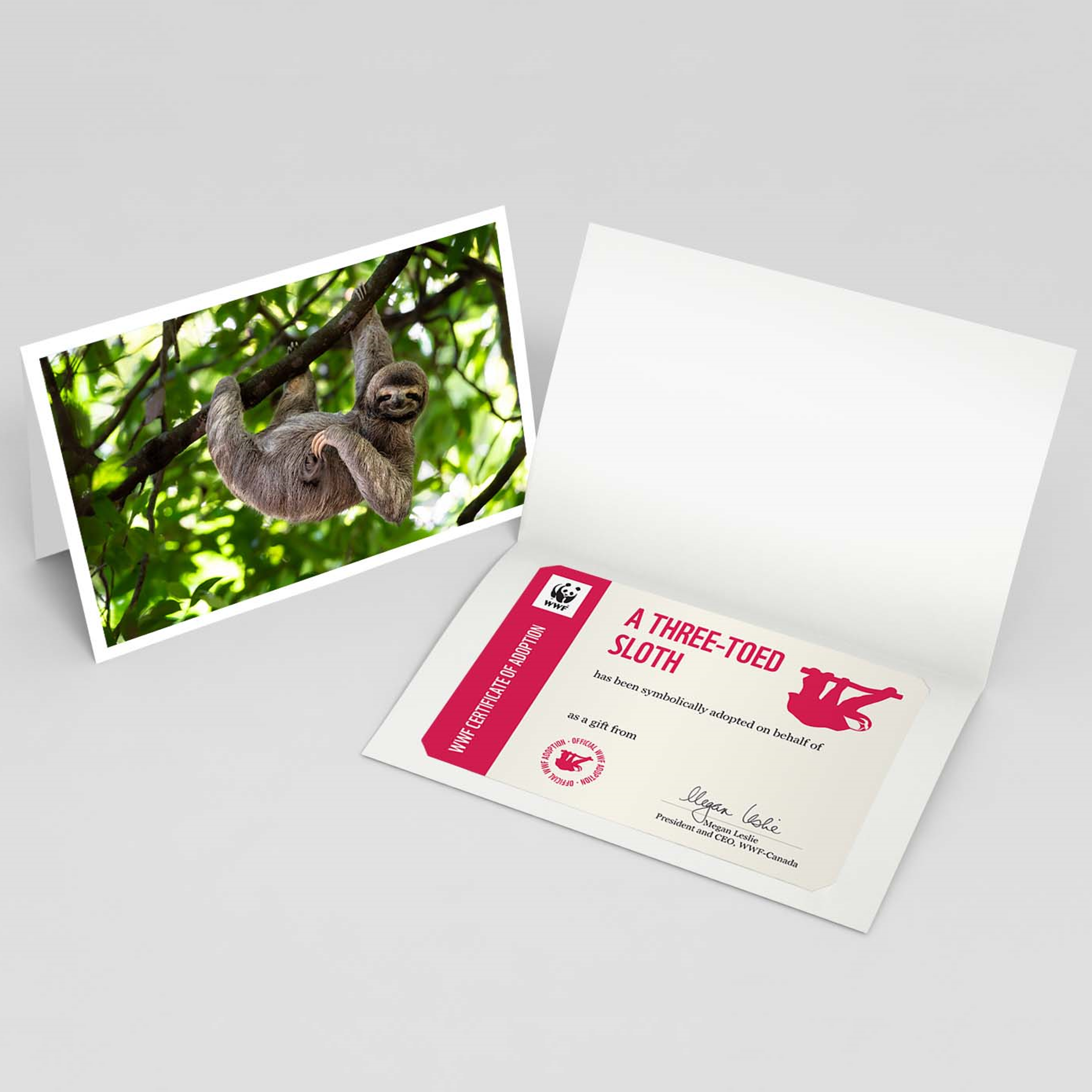 Three-toed sloth adoption card - WWF-Canada