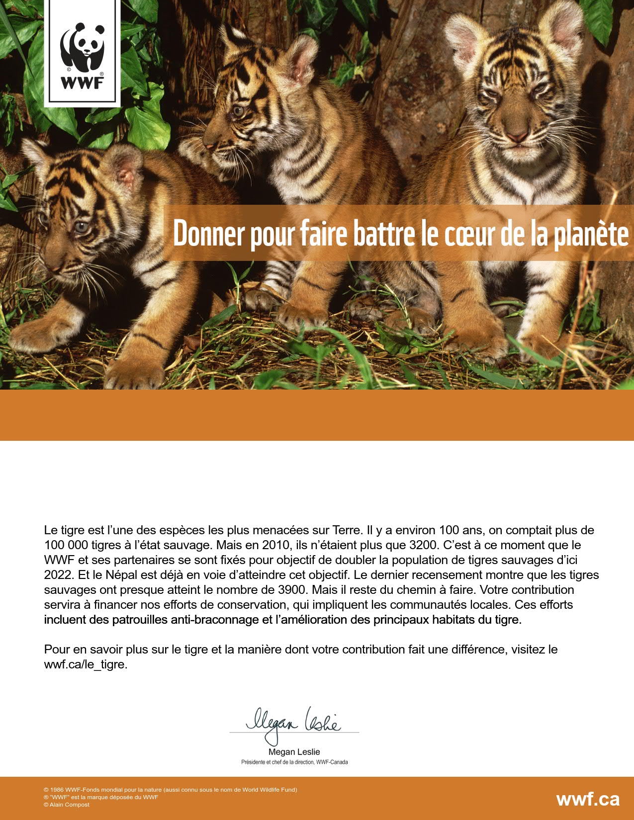 rétablissons les populations de tigre - WWF-Canada