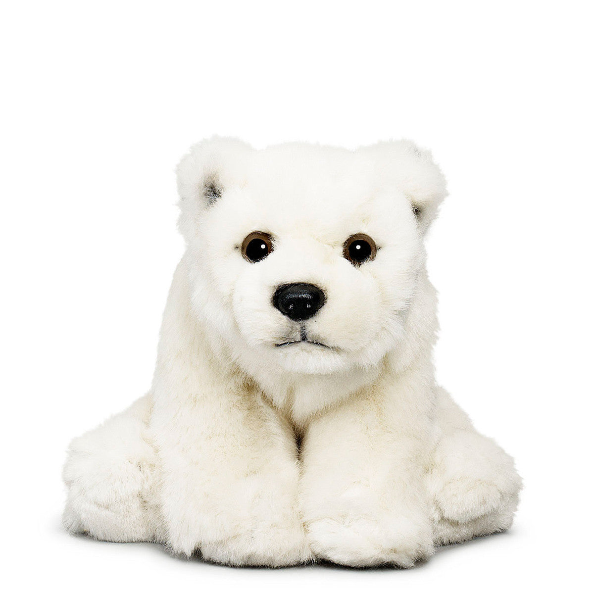 Ours polaire - WWF-Canada