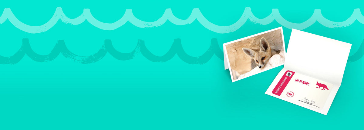 Wildlife Adoption Cards