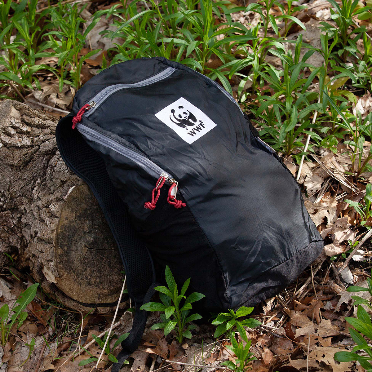 A photo of the ChicoBag travel backpack leaning on a log in the woods