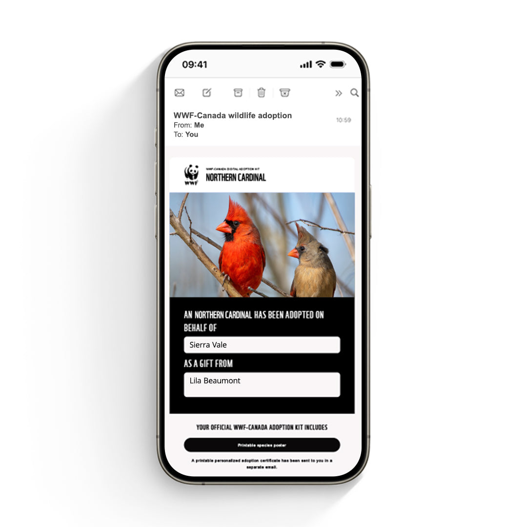Cardinal digital adoption - WWF-Canada